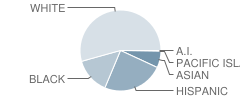 East High School Student Race Distribution