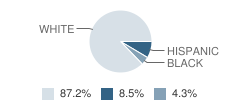 Butler Elementary School Student Race Distribution