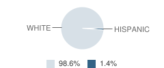 George-Little Rock High School Student Race Distribution