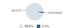 Graettinger Elementary School Student Race Distribution