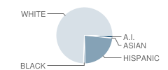 Hampton-Dumont Middle School Student Race Distribution