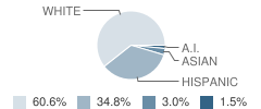 North Side Elementary School Student Race Distribution