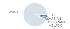 Independence Middle School Student Race Distribution