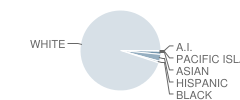 Indianola High School Student Race Distribution