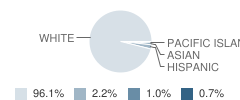 Irving Elementary School Student Race Distribution