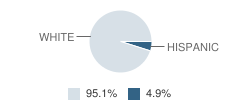 Ikm Elementary School Student Race Distribution