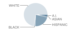 Clark Elementary School Student Race Distribution