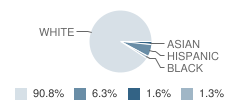 Central Elementary School Student Race Distribution