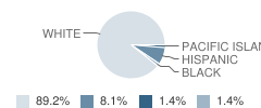 North Kossuth Elementary School Student Race Distribution