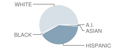 Perry High School Student Race Distribution