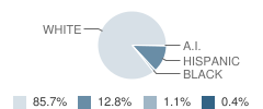 Schaller-Crestland Middle School-Elementary Student Race Distribution