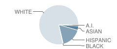 Sioux Center Middle School Student Race Distribution