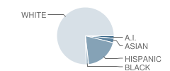 East Middle School Student Race Distribution