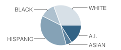 Hunt Elementary School Student Race Distribution