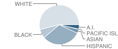 West Middle School Student Race Distribution