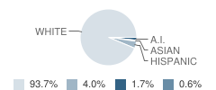 South Hamilton Middle and High School Student Race Distribution