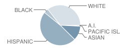 Storm Lake High School Student Race Distribution