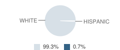 Sumner Jr-Sr High Sumner-Fredericksburg High School Student Race Distribution