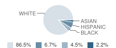 United Community Elementary School Student Race Distribution