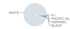 Villisca Community High School Student Race Distribution