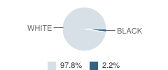 Walnut Elementary School Student Race Distribution