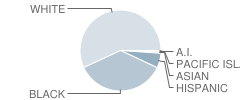 East High School Student Race Distribution