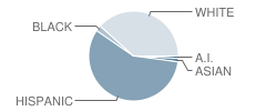 Broadway Elementary School Student Race Distribution