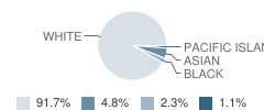 Madison Elementary School Student Race Distribution