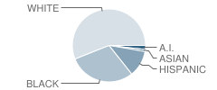 Woodward Academy Student Race Distribution