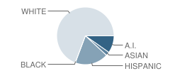 Blackfoot High School Student Race Distribution