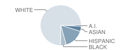 South Junior High School Student Race Distribution