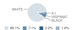 Proj Cda-Alternative High School Student Race Distribution