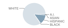 Bonneville High School Student Race Distribution