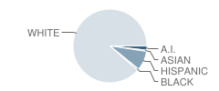 Preston Jr High School Student Race Distribution