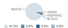 Sugar-Salem Junior High School Student Race Distribution