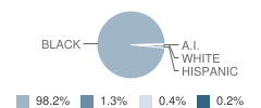 Raby High School Student Race Distribution