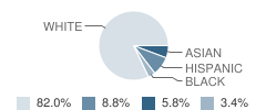 Heineman Middle School Student Race Distribution