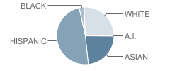 Timber Trails Elementary School Student Race Distribution