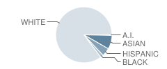 Corron Elementary School Student Race Distribution