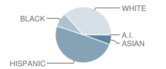 Skoff Elementary School Student Race Distribution