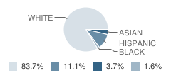 Winfield Central School Student Race Distribution