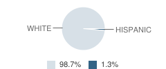 River Ridge High School Student Race Distribution