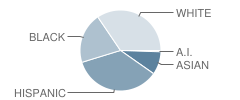 Oak Crest School Student Race Distribution