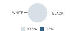 Gallatin High School Student Race Distribution