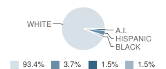 Ridgeview Jr High School Student Race Distribution