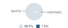 Okaw Valley Elementary School Student Race Distribution