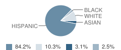 Army Trail Elementary School Student Race Distribution