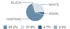 Fullerton Elementary School Student Race Distribution