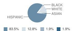 Lake Park Elementary School Student Race Distribution