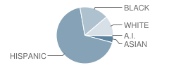 Olney C Allen Elementary School Student Race Distribution